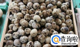 怎么做好吃的鹌鹑蛋？