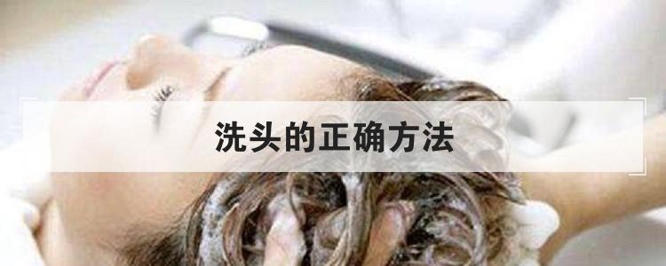 洗头的正确方法