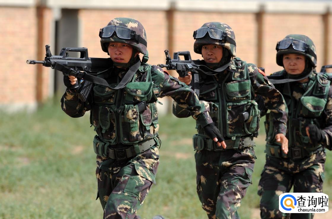 一个标准团有多少人