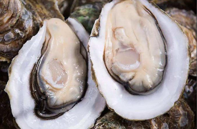 生蚝到底用不用去内脏