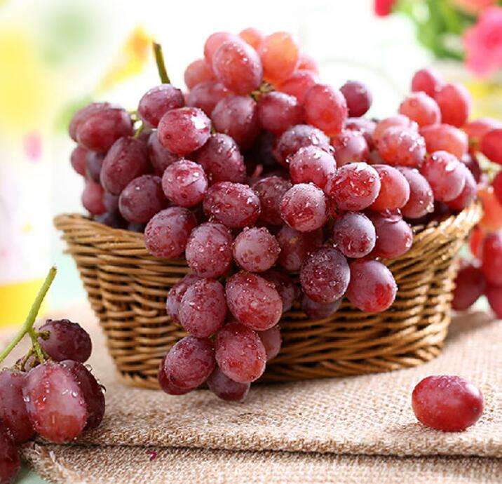 提子是不是葡萄