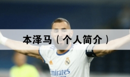 卡里姆·本泽马（个人简介）