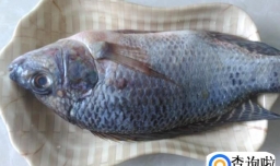 罗非鱼粥的做法