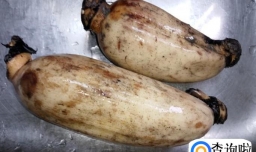 怎样做好喝的莲藕排骨汤？