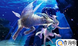 摩羯座和什么座最配