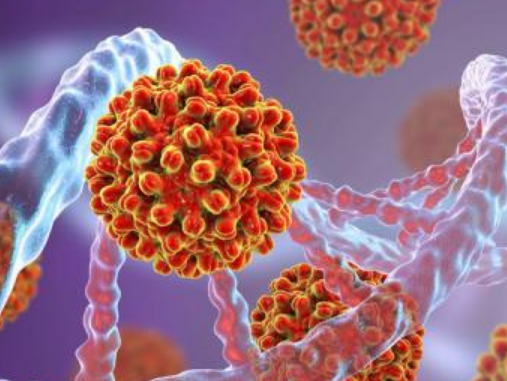 hbsag阳性是什么意思