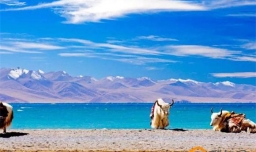 五一节去西藏旅游天气怎么样