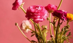 最有气质的女孩名字三个字