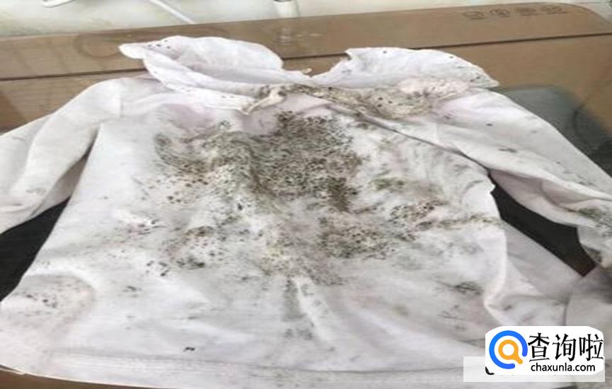 百香果汁弄到衣服上可以清洗干净吗