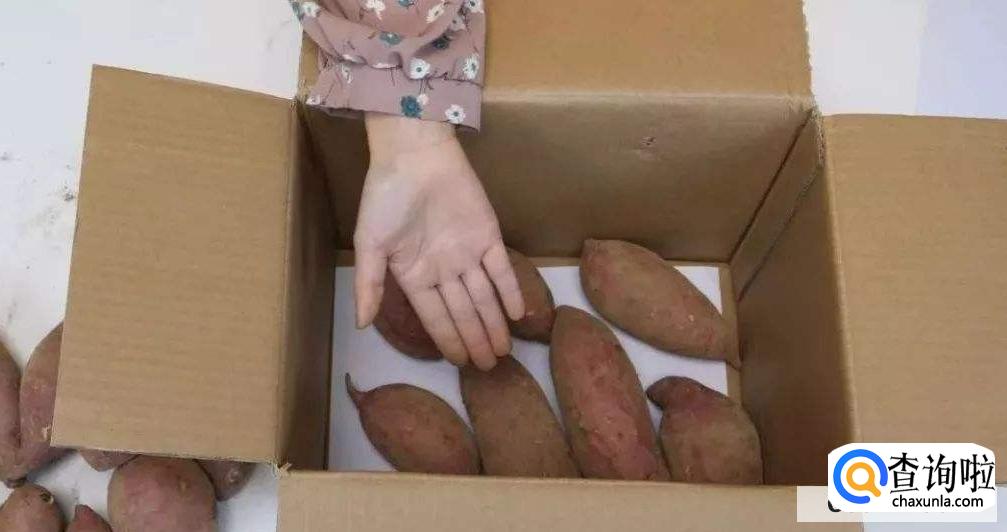 红薯怎么保存不会烂掉
