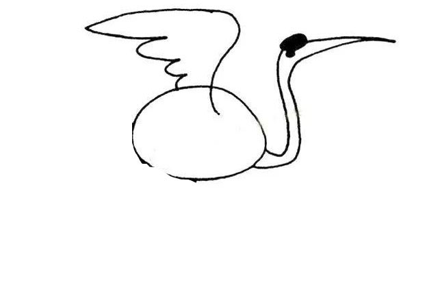 丹顶鹤简笔画