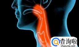 怎样正确自学美声？