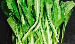 如何调制小白菜包子馅？