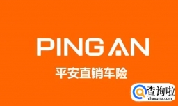 怎么查平安保险保单