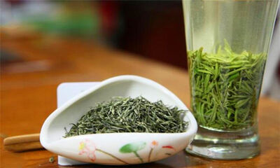 信阳毛尖是绿茶吗