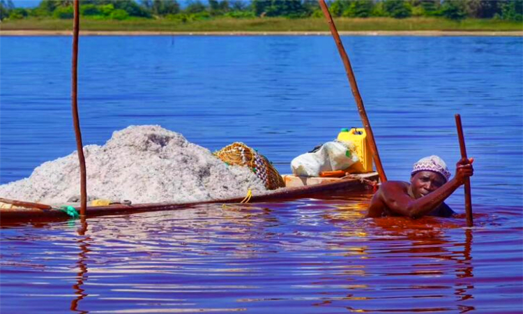 塞内加尔是哪个国家