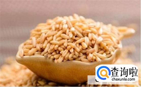 哪些食物可以帮助回奶