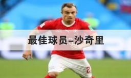 最佳球员-沙奇里