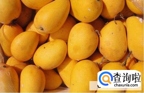 小孩可以吃芒果吗