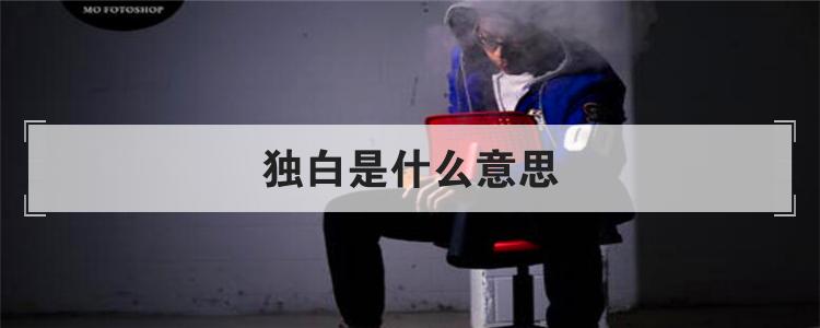 独白是什么意思