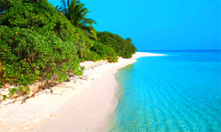 夏天要热到几月份