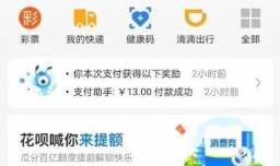 支付宝怎么查询有几个花呗账号？