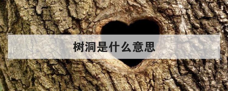 树洞是什么意思