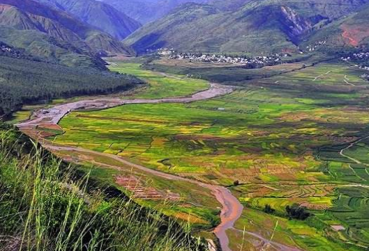 青藏地区农业类型