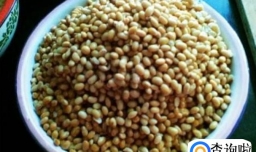 教你如何制作大酱