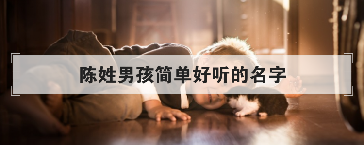 陈姓男孩简单好听的名字