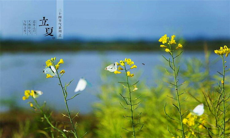 立夏的来历