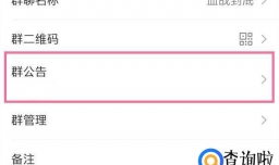 怎么设置群待办