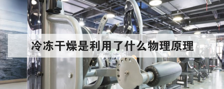 冷冻干燥是利用了什么物理原理