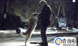 狗狗主演的电影都有哪些？