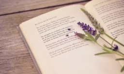 一本大学有哪些