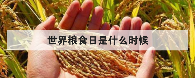 世界粮食日是什么时候