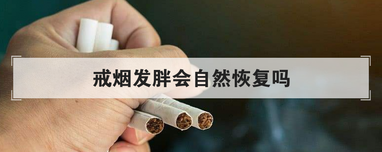 戒烟发胖会自然恢复吗