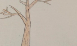 树干的简易画法