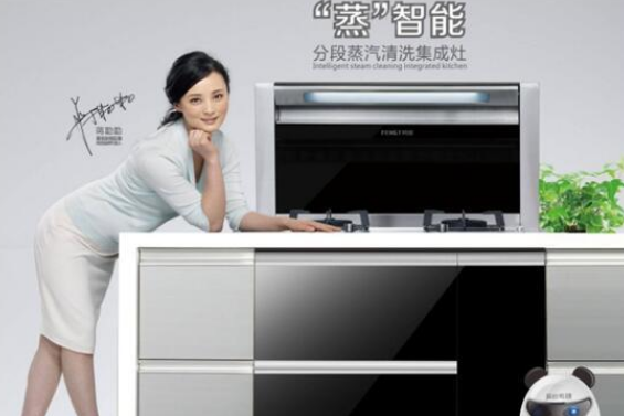 集成灶十大排行榜