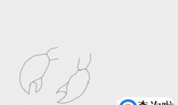 多妈简笔画龙虾的画法