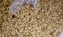 乐山嫩豆花到底是怎么做成的？