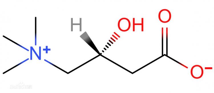 左旋肉碱效果怎么样