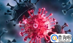 新冠病毒变异后毒性减弱了吗