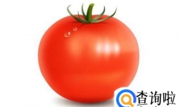 鲜榨番茄汁的做法