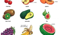 英语学习方法小技巧