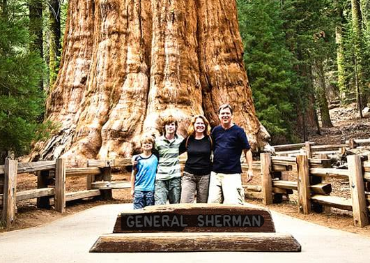 世界上最大的树