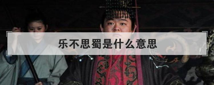 乐不思蜀是什么意思