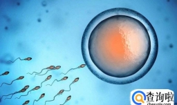 生男生女真的可以自己决定吗