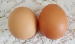 东北鸡蛋糕的家常做法