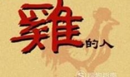 属鸡的人2017年运势大全及破解